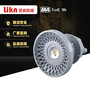 免維護(hù)LED防爆燈